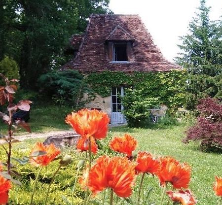 Petite Maison En Perigord Noir Plazac Экстерьер фото