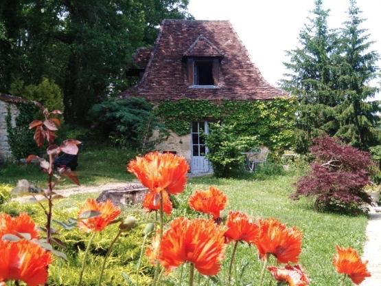 Petite Maison En Perigord Noir Plazac Экстерьер фото